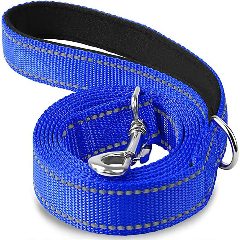 Reflective Walking Leash