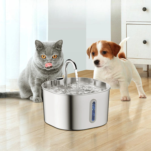Automatic Water Fountain