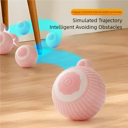 Smart Automatic Rolling Ball