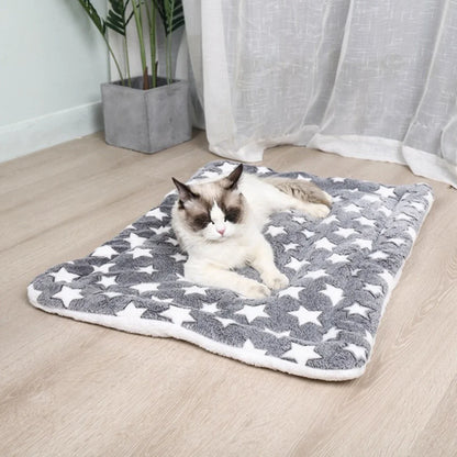 Thick Flannel Sleeping Mat