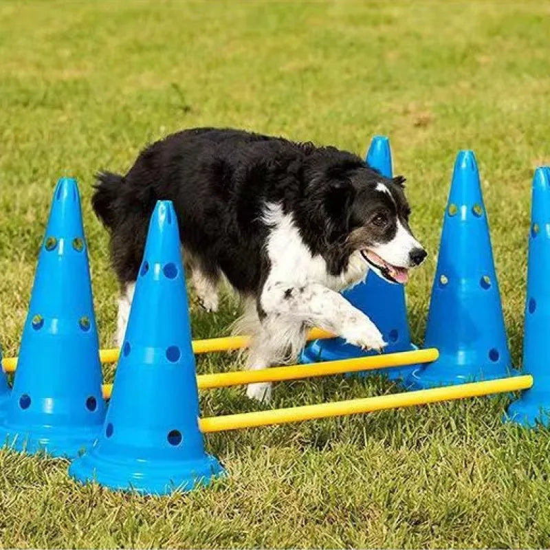 Agility Jumping Bar Obstacle Training Set