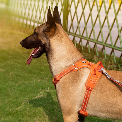 Adjustable Reflective No-Pull Nylon Harness
