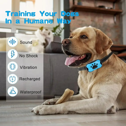 USB Rechargeable Ultrasonic Anti-Bark Training Collar