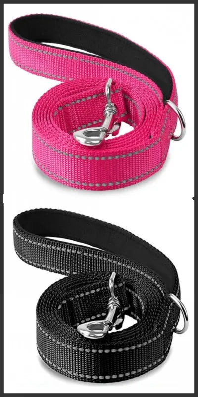 Reflective Walking Leash
