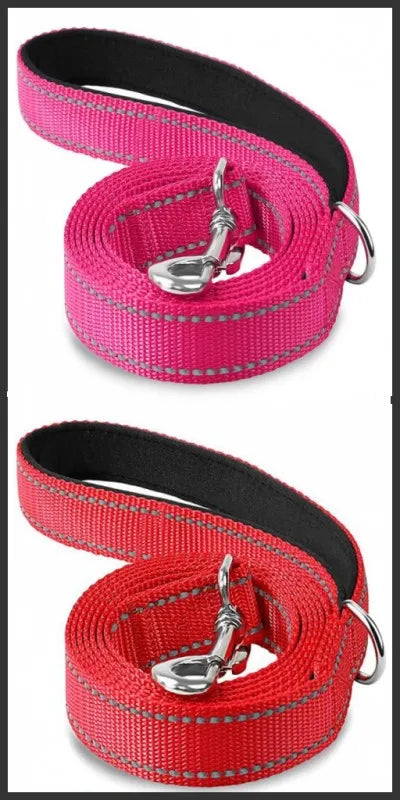 Reflective Walking Leash