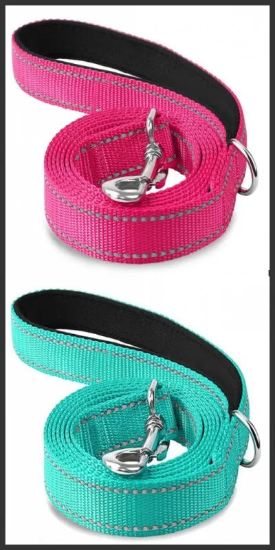 Reflective Walking Leash