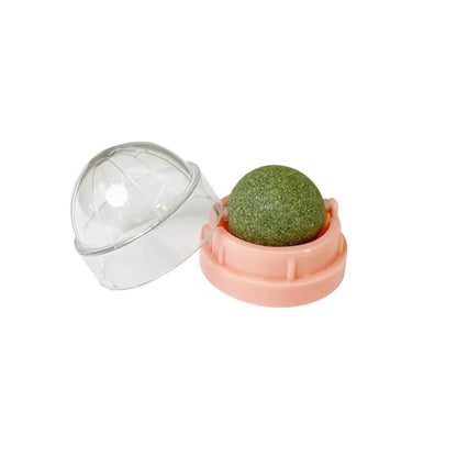 Natural Catnip Wall Ball Toy