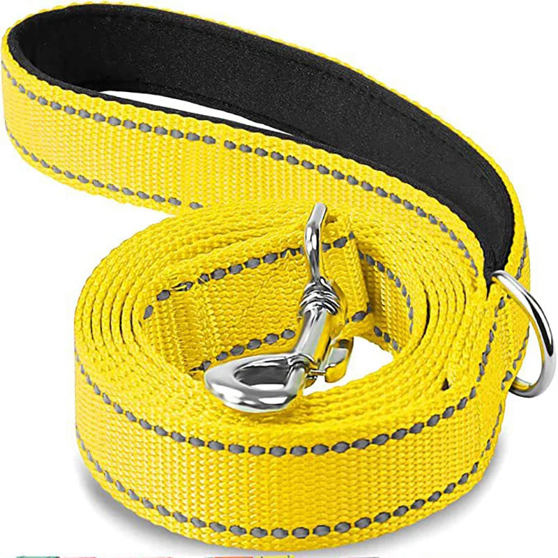 Reflective Walking Leash