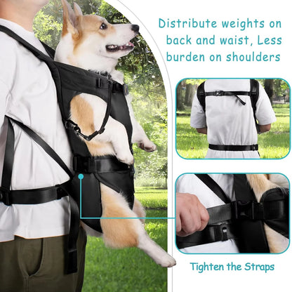 Adjustable Hands-Free Carrier Backpack