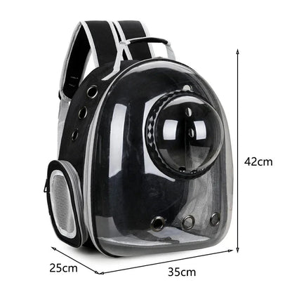 Transparent Space Capsule Carrier Backpack