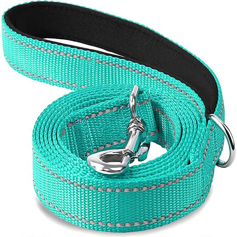 Reflective Walking Leash
