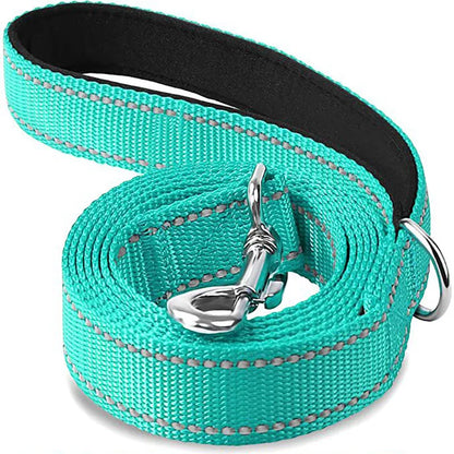 Reflective Walking Leash