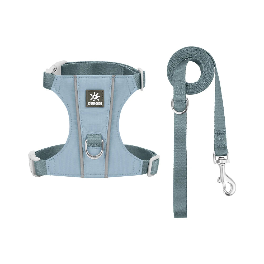 Escape-Proof Harness and Leash Set