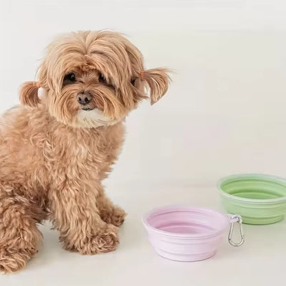 Foldable Silicone Travel Bowl