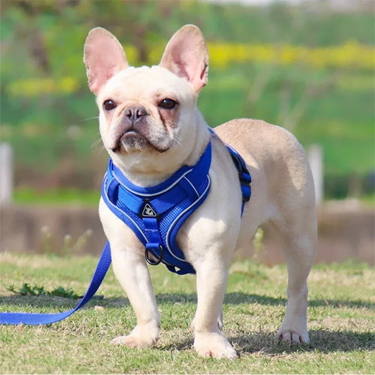 Reflective No-Pull Harness and Leash Set