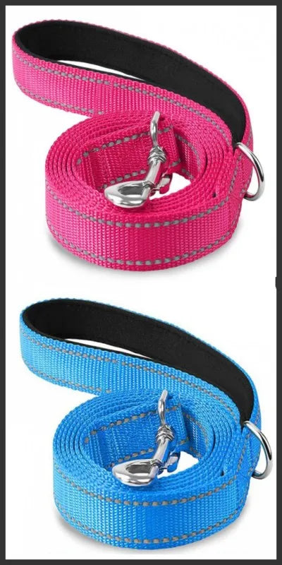 Reflective Walking Leash