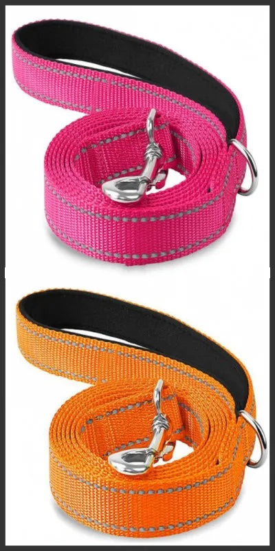 Reflective Walking Leash