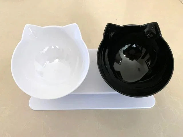 Double feeding bowl