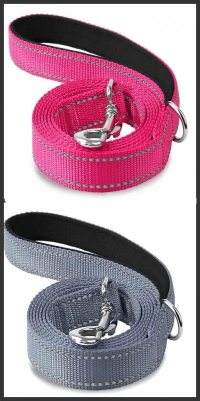 Reflective Walking Leash