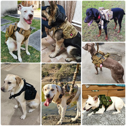 Tactical Nylon Harness Leash Set