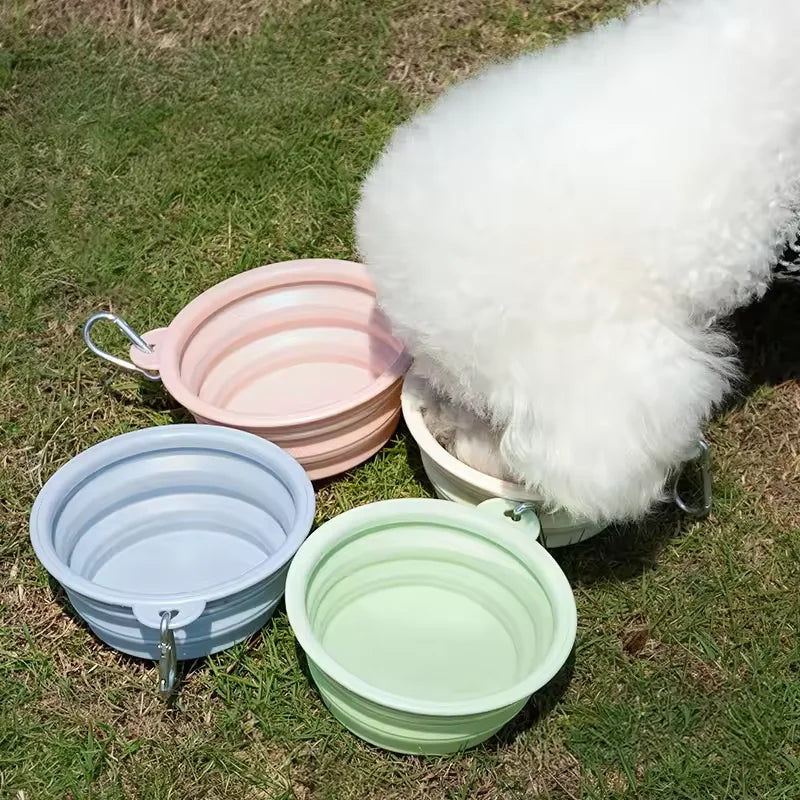 Foldable Silicone Travel Bowl