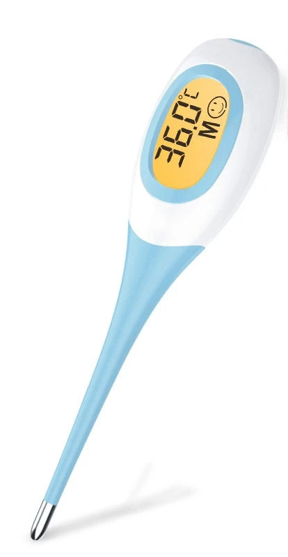 Professional LED Thermometer