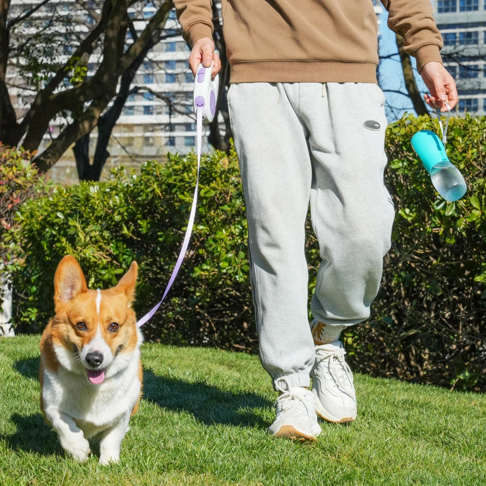 Portable 300ML Water Bottle