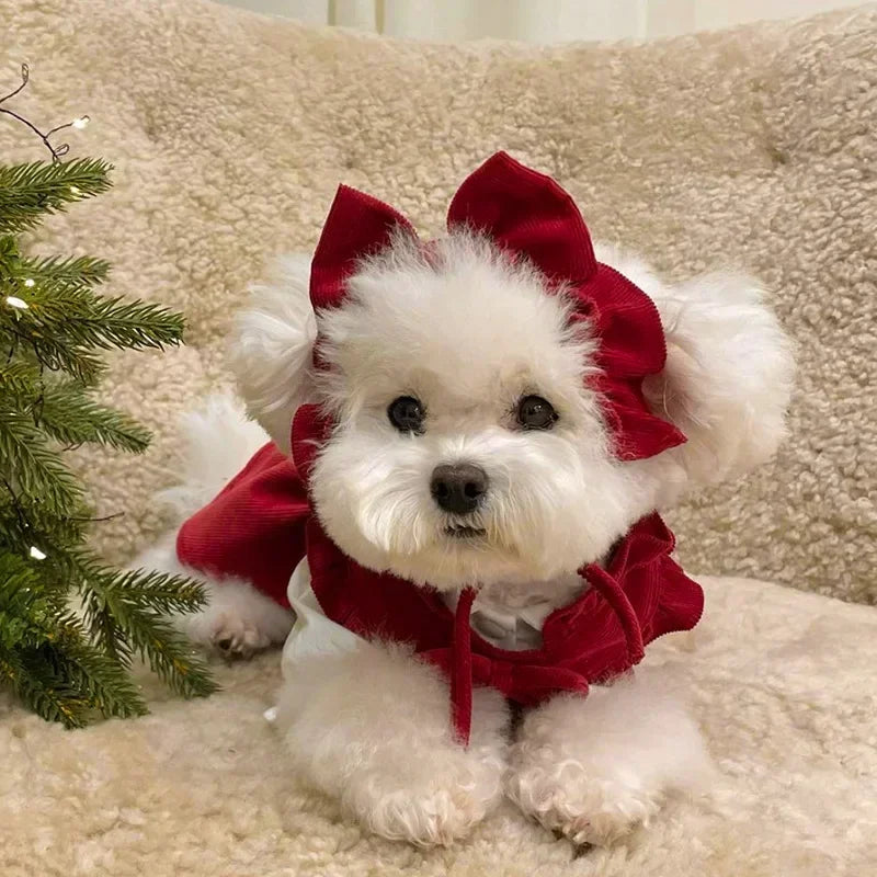 Winter Corduroy Puppy Princess Dress