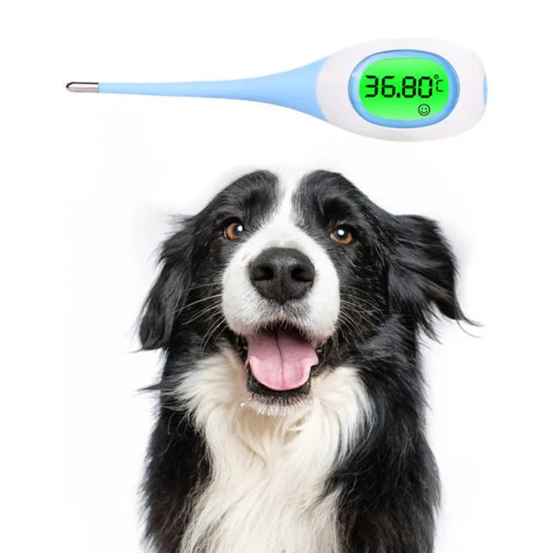 Professional LED Thermometer