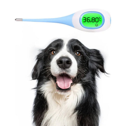 Professional LED Thermometer