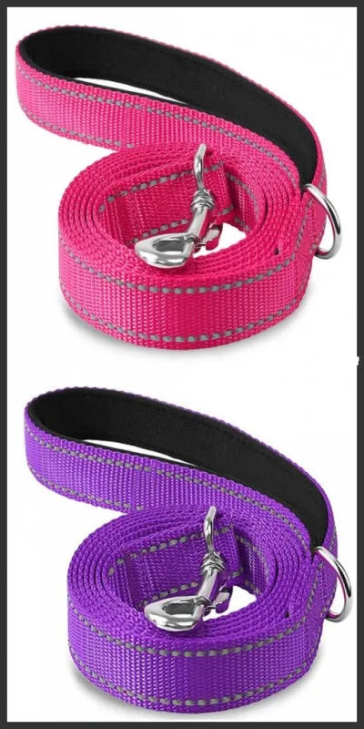 Reflective Walking Leash