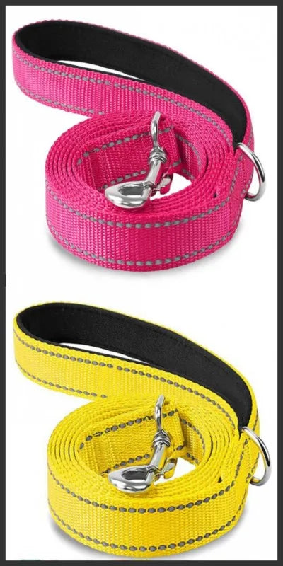 Reflective Walking Leash