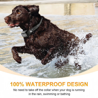 3400FT Waterproof Rechargeable Remote Training Collar