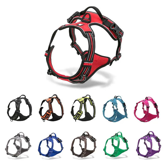 Reflective Padded Nylon Harness