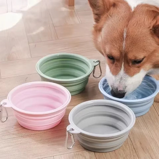 Foldable Silicone Travel Bowl