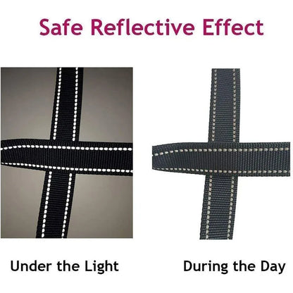 Reflective Walking Leash