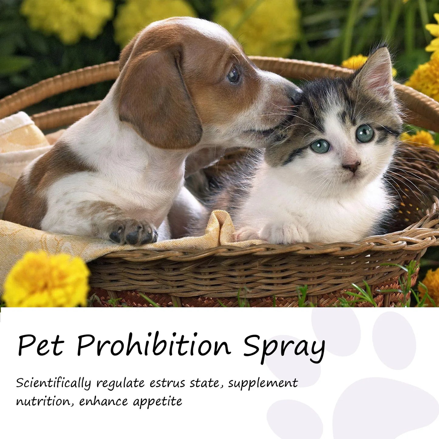 Calming Pheromone Spray