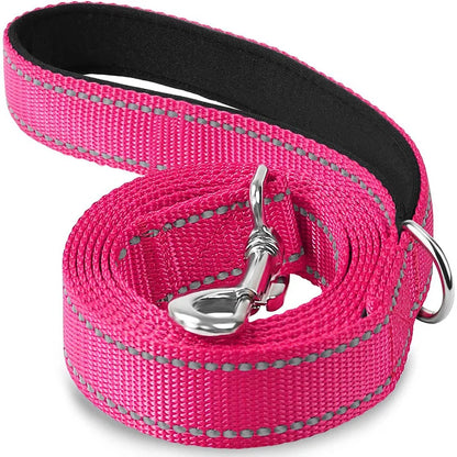 Reflective Walking Leash