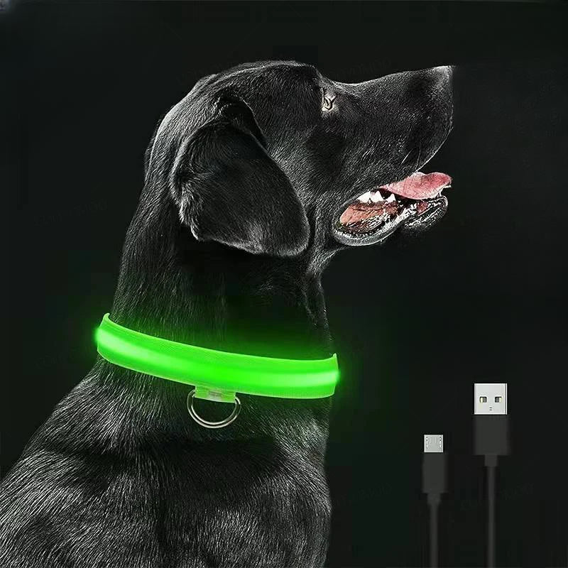 USB Rechargeable LED Dog Collar