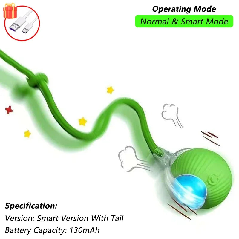 Interactive Wall-Hanging Bird Catnip Toy
