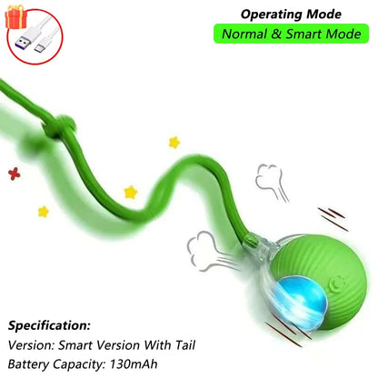 Interactive Wall-Hanging Bird Catnip Toy
