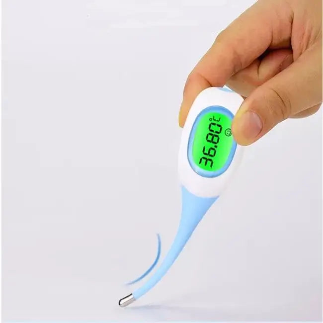 Professional LED Thermometer