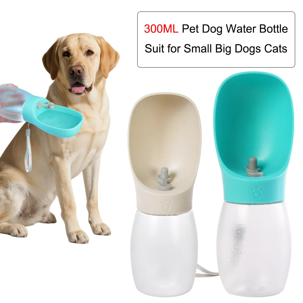 Portable 300ML Water Bottle