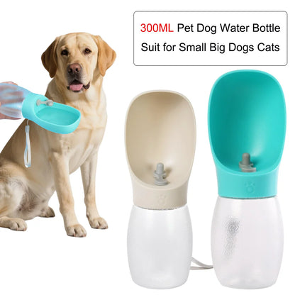 Portable 300ML Water Bottle