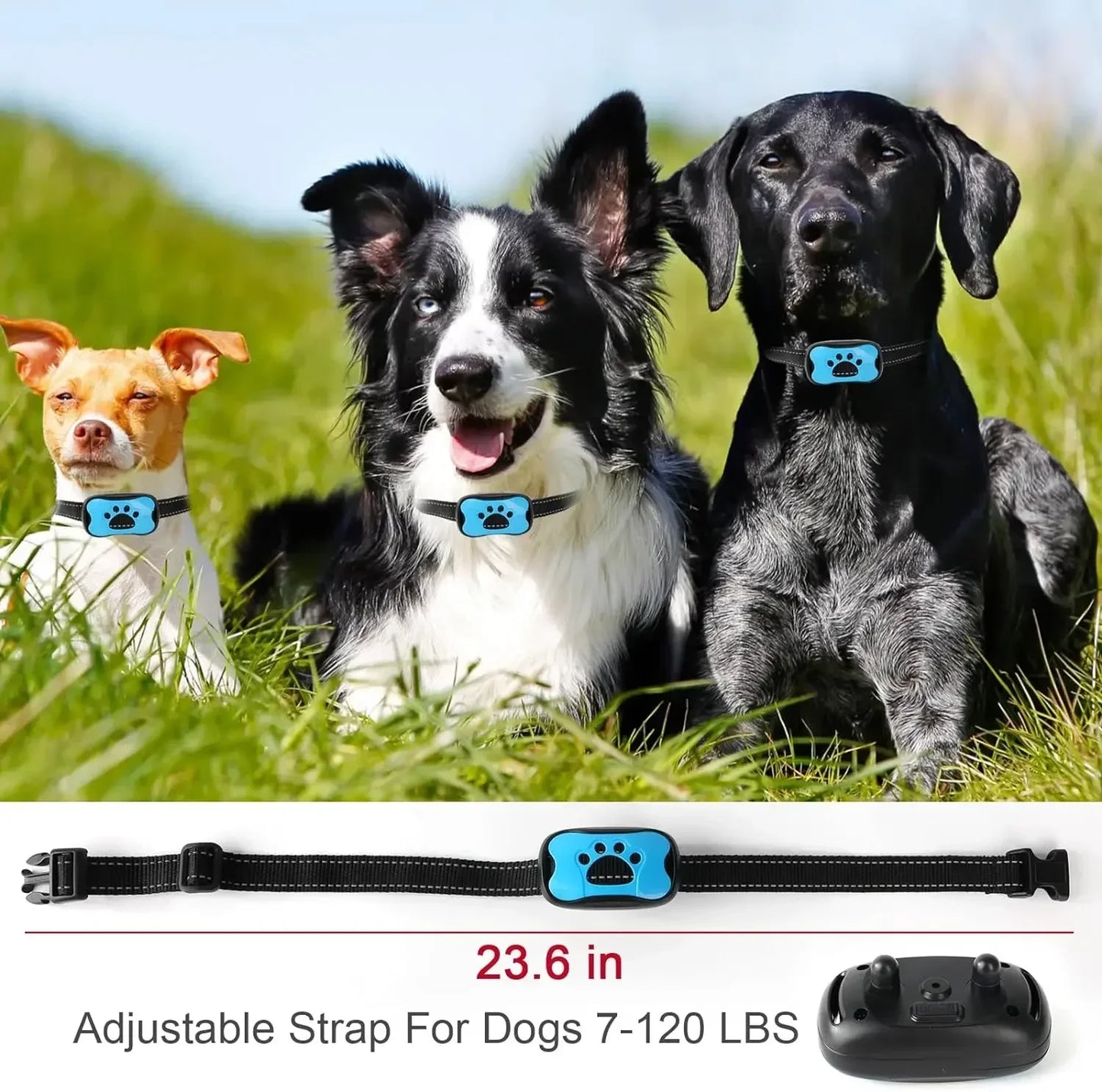 USB Rechargeable Ultrasonic Anti-Bark Training Collar