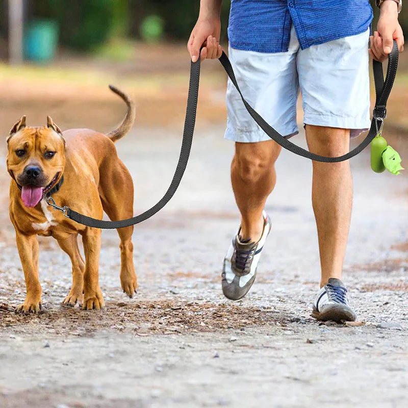 Reflective Walking Leash