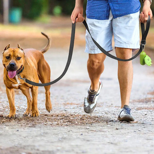 Reflective Walking Leash