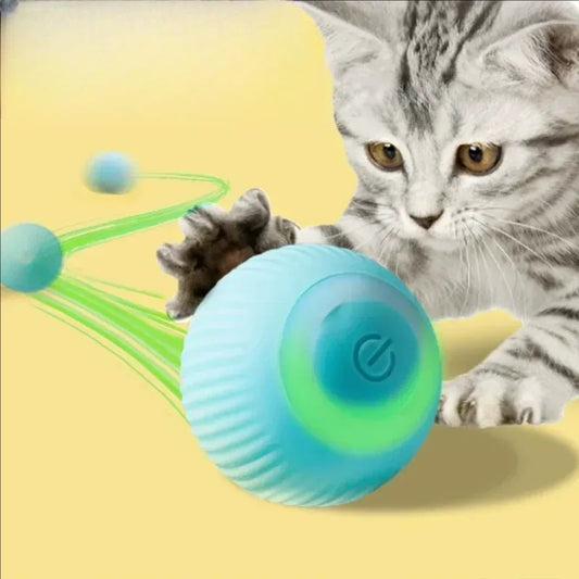 Smart Automatic Rolling Ball