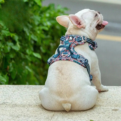 Nylon Harness